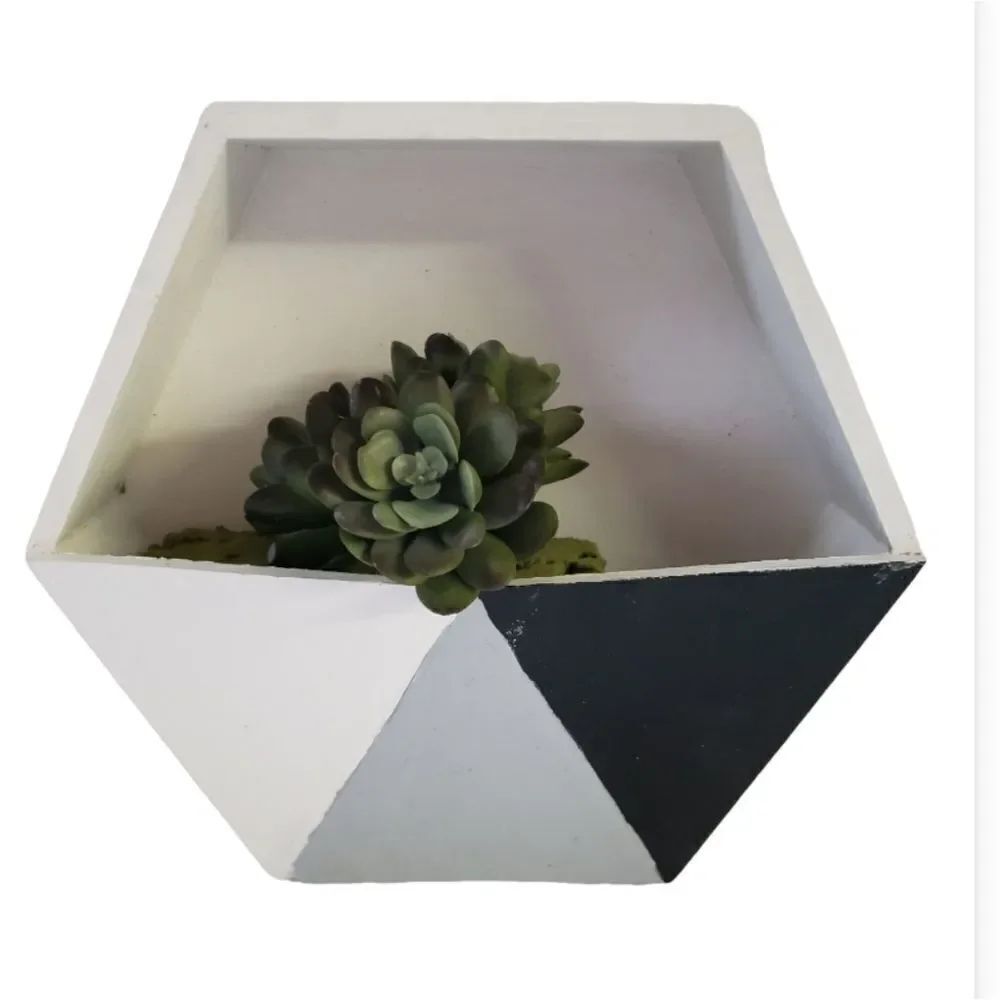 Handpainted Decorative Box w/Succulent